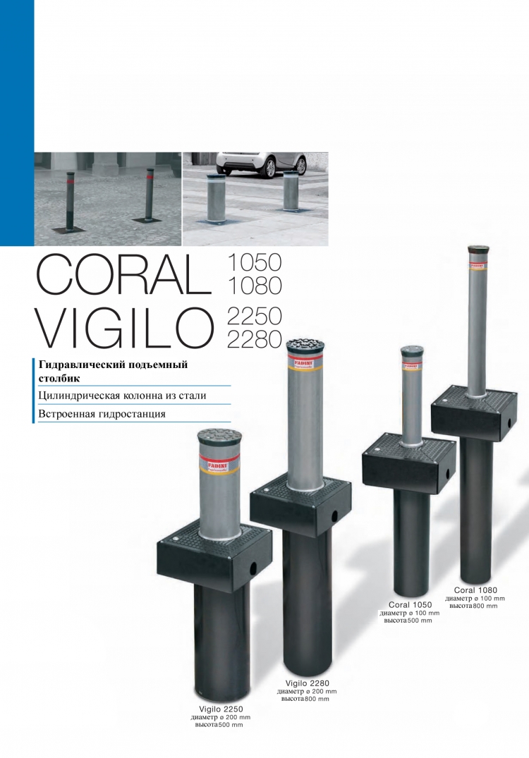 �������� ��������� Coral � Vigilo